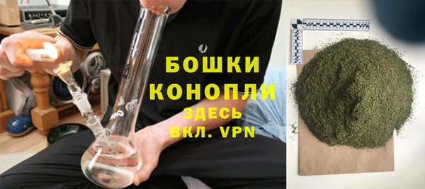 дурь Магас