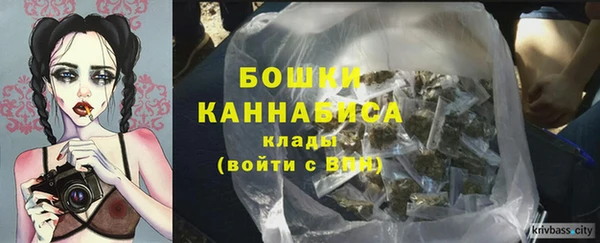 дурь Магас