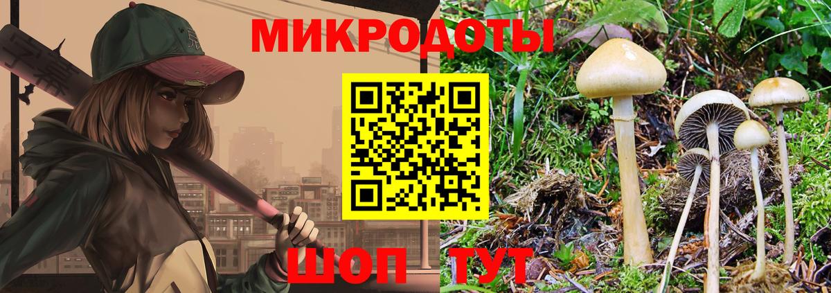 цена   Псилоцибиновые грибы GOLDEN TEACHER  Вход с VPN  Галлюциногенные грибы GOLDEN TEACHER  Кандалакша 