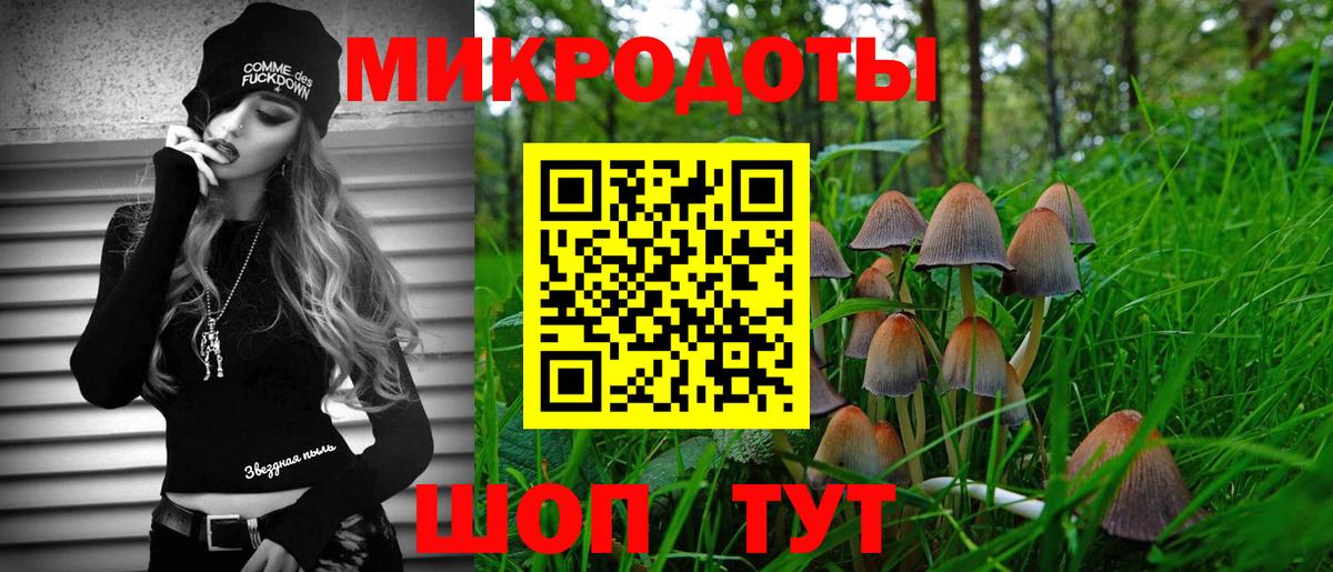 Бошки Шишки Кандалакша