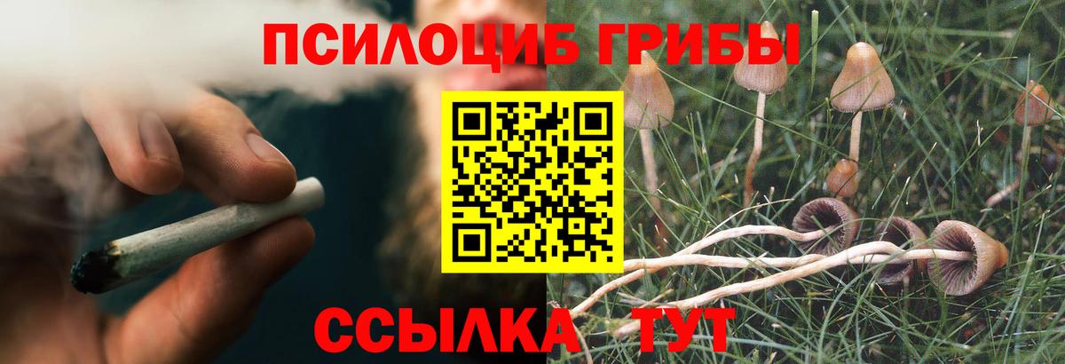 Псилоцибиновые грибы GOLDEN TEACHER Кандалакша